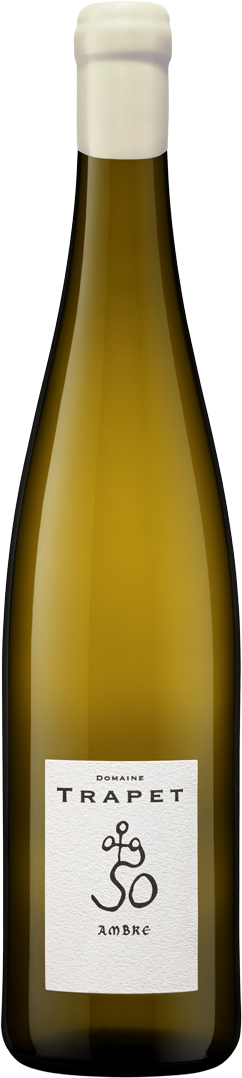 Ambre Blanc (Muscat)